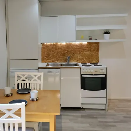 Apartman Puisto Moekki